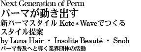 Next Generation of Perm p[}o Vp[}X^C Kote*WavełX^CX^C by Luna Hair E Insolite Beaute E Snob p[}yւƓƊEĉ̊