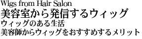 Wigs from Hair Salon e甭MEBbO EBbÔ鐶 etEBbO߂郁bg